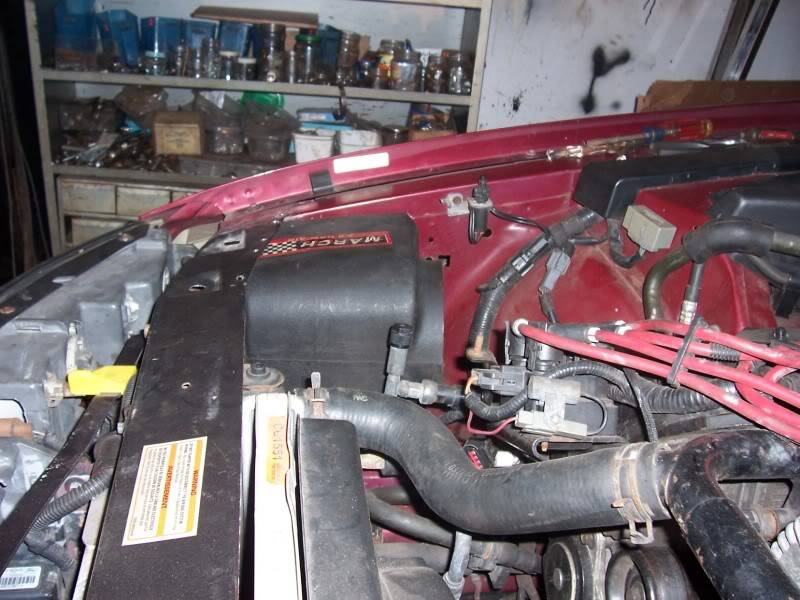 000_1460.jpg