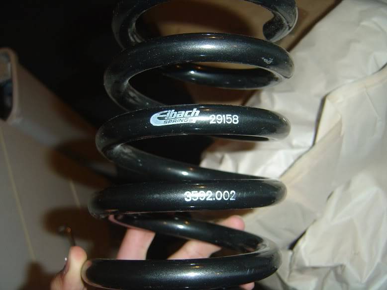 001-8.jpg