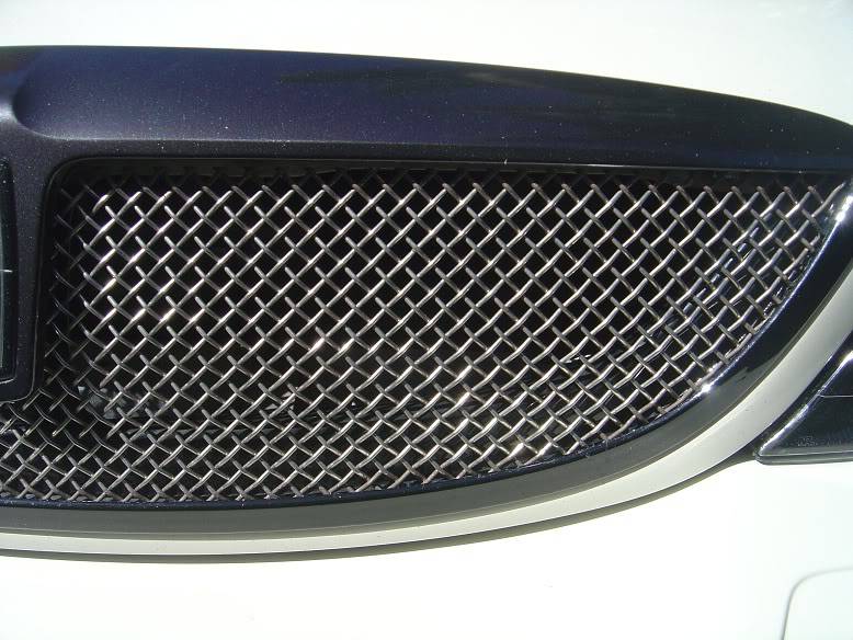 006-1.jpg