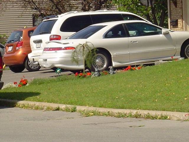 01718_DSC00588_379lo.JPG