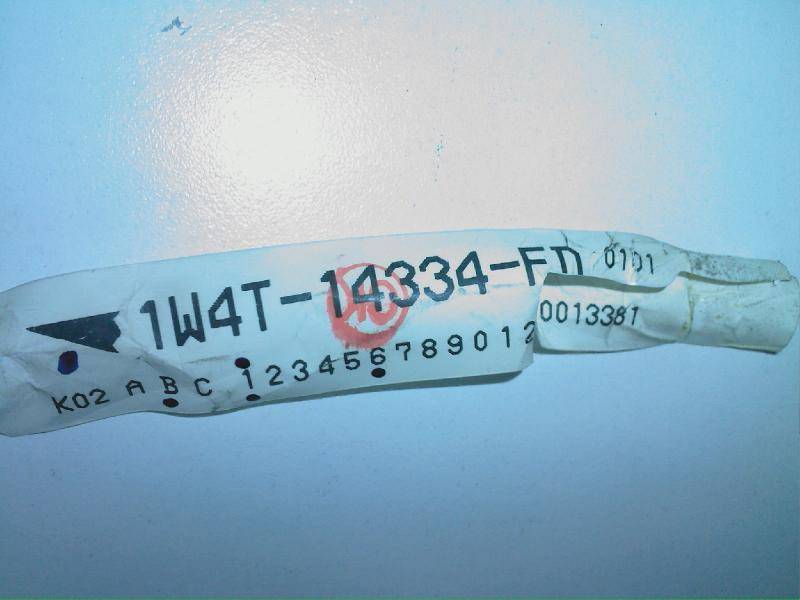 0225120224.jpg