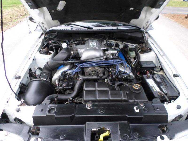 031_zps6eba1c31.jpg