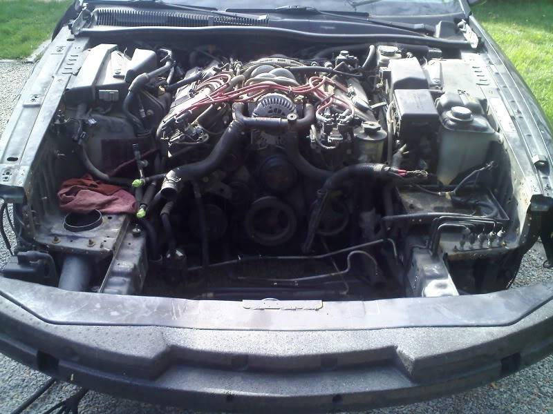 0411001720.jpg