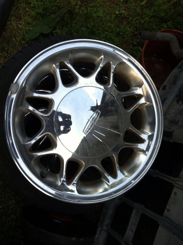 087ef074.jpg
