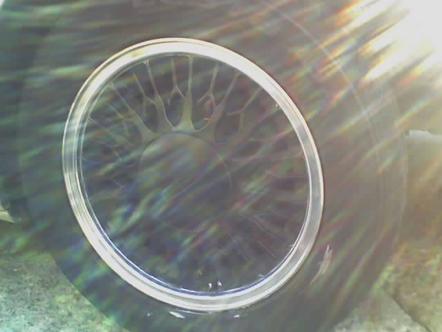 09-25-06_1652.jpg