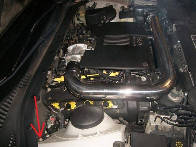 10017271small.jpg
