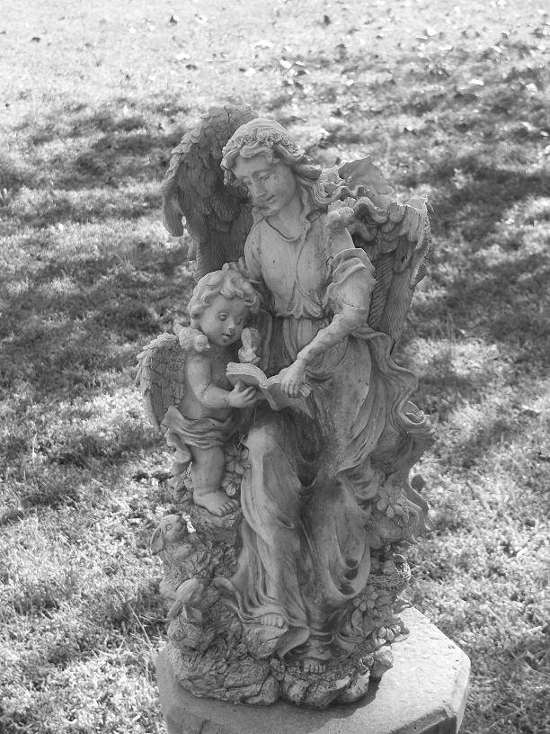 100_0047.JPG