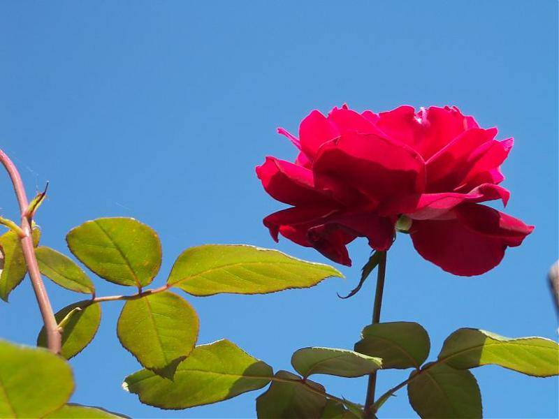 100_0051.jpg