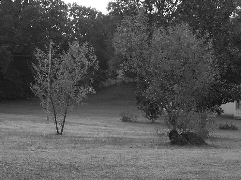 100_0181.jpg