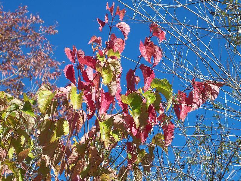 100_0236.jpg