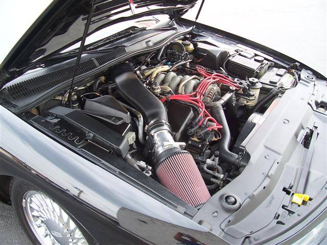100_0293 (Small).JPG