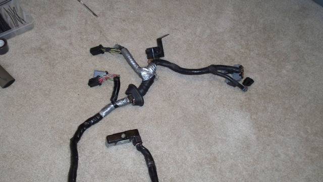 100_0310.JPG