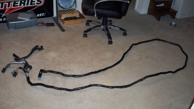 100_0311.JPG