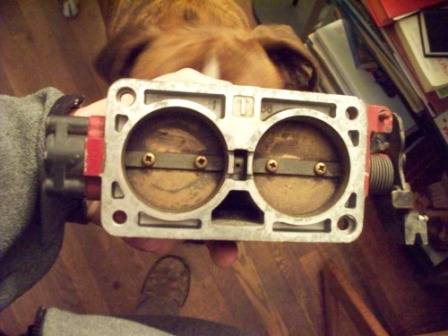 100_0453internet safe.jpg