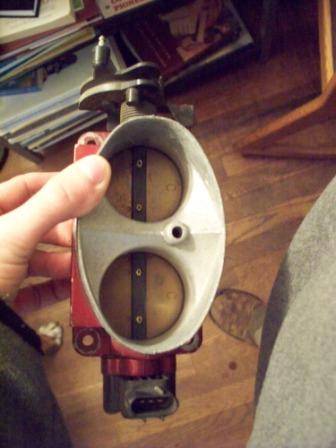 100_0454internet safe.jpg