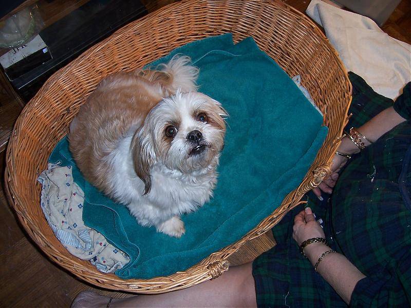100_0703.jpg