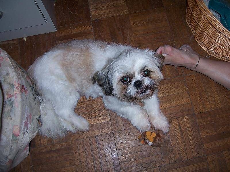 100_0704.jpg