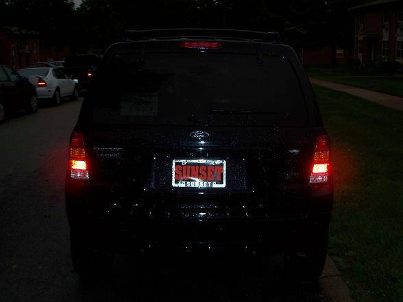 100_0881small.JPG