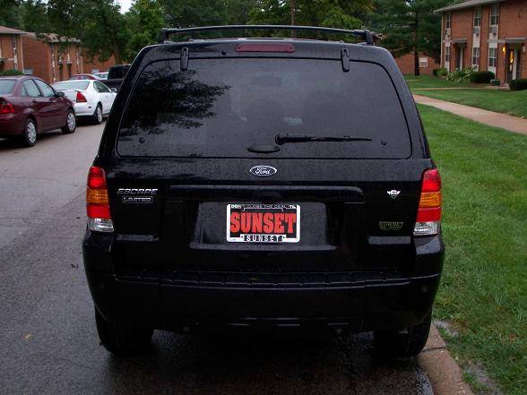 100_0882small.JPG