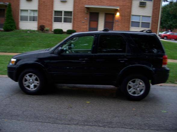 100_0883small.JPG