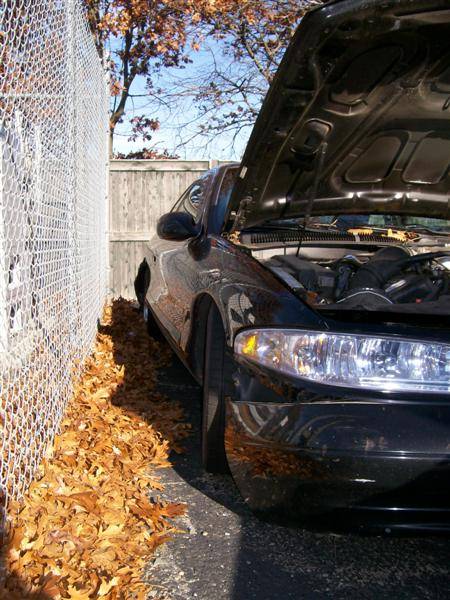 100_0999 (Medium).JPG