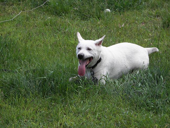 100_3239.JPG