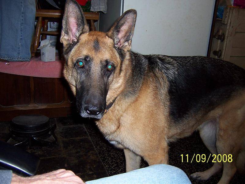 100_6074.jpg