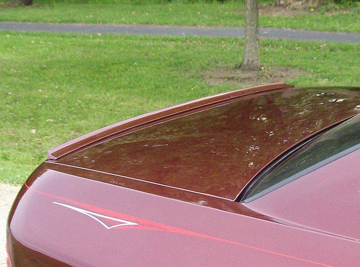 100_6087.jpg