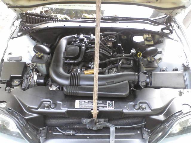 1020101352.jpg