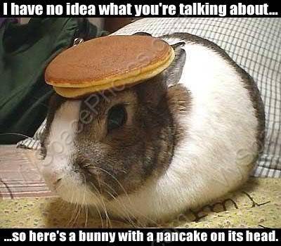1127939804bunny-with-pancake.jpg