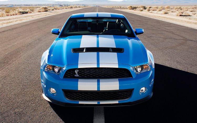 112_0901_20z+2010_ford_shelby_GT500+hood.jpg