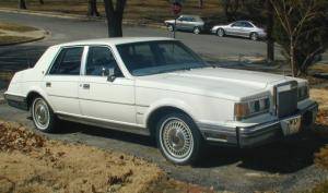 1983 cont.jpg