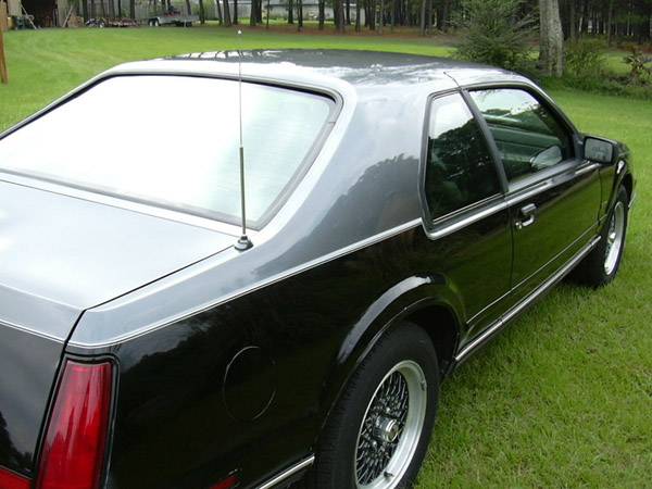 1990TwoTone_003.jpg