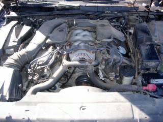 1993MarkVIII33.JPG