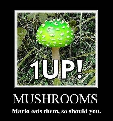 1up.jpg