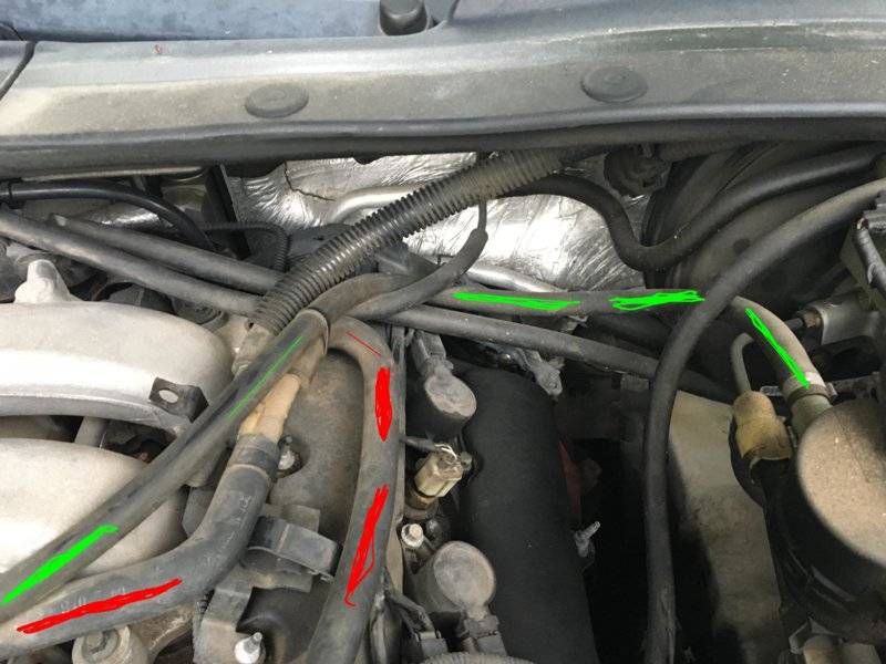 2 hoses a.JPG
