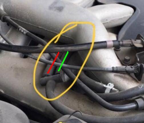 2 hoses.jpg