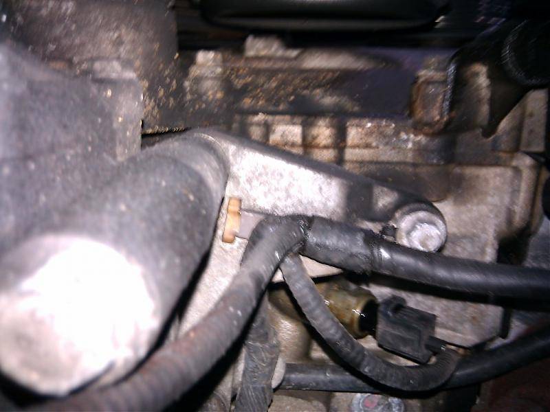 2010-02-21 15.54.15.jpg