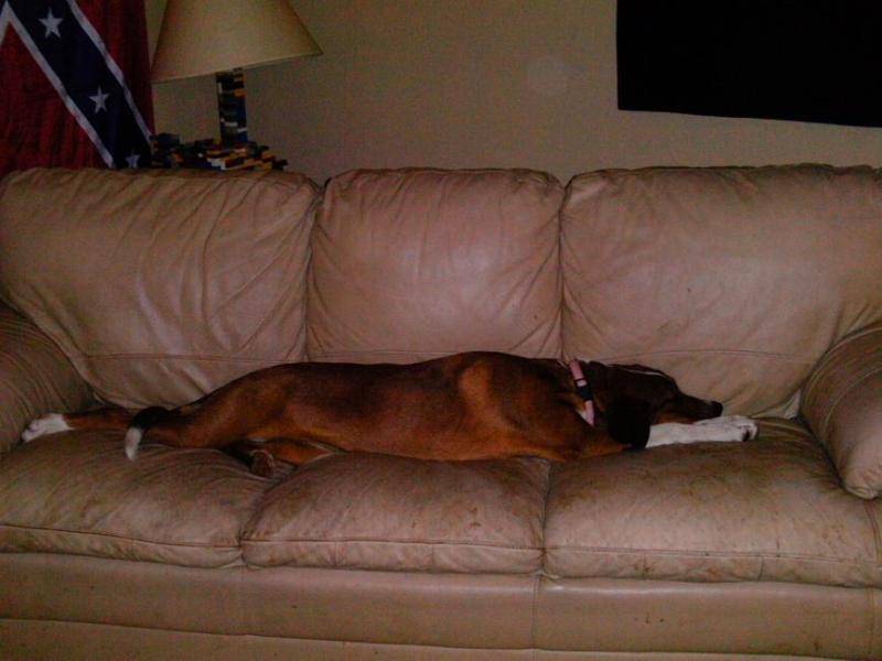 2010 047.jpg
