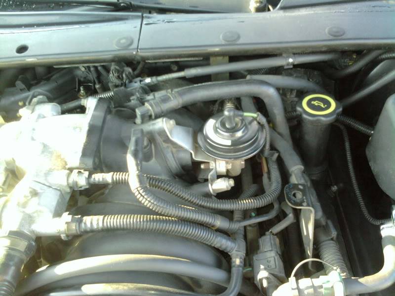 2011-02-06155340.jpg