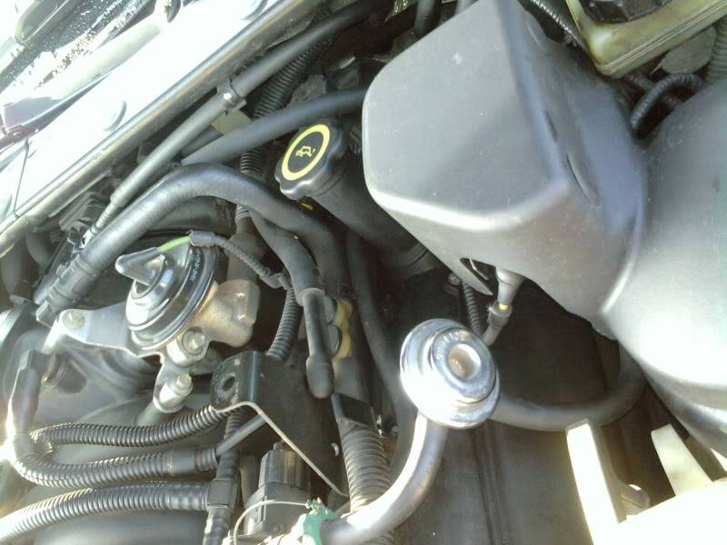 2011-02-06155354.jpg