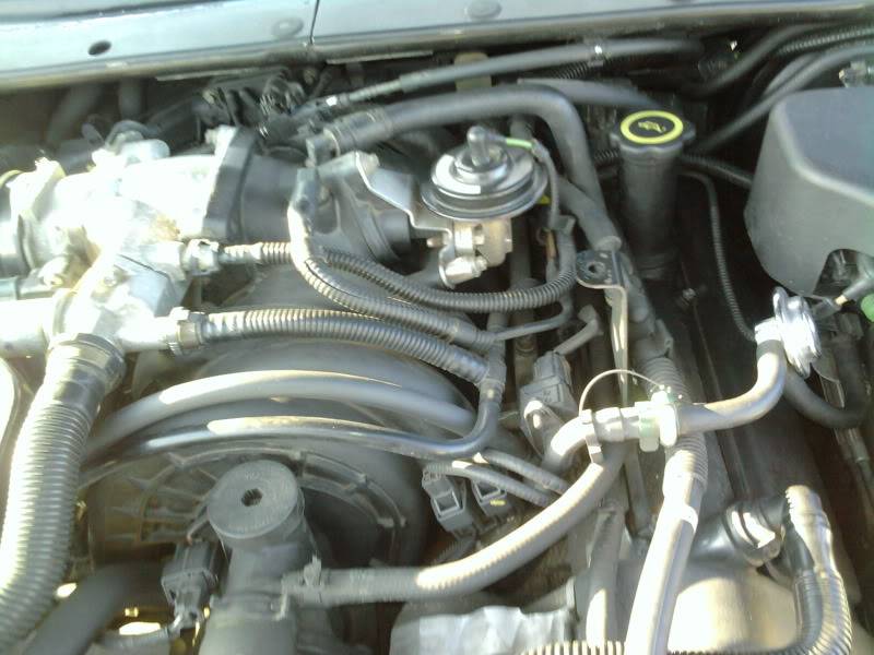 2011-02-06155415.jpg