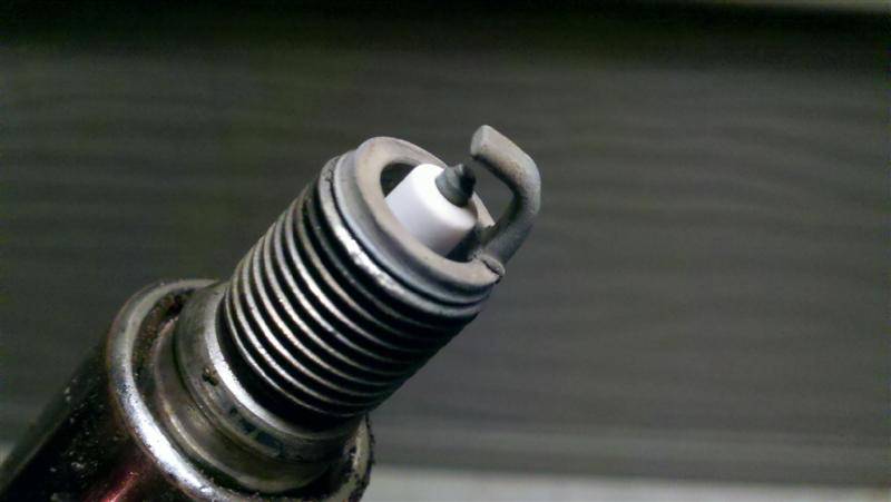 2011-02-23_19-31-19_260 (Medium).jpg