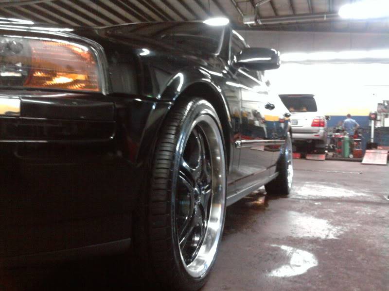 2011-04-02143936.jpg