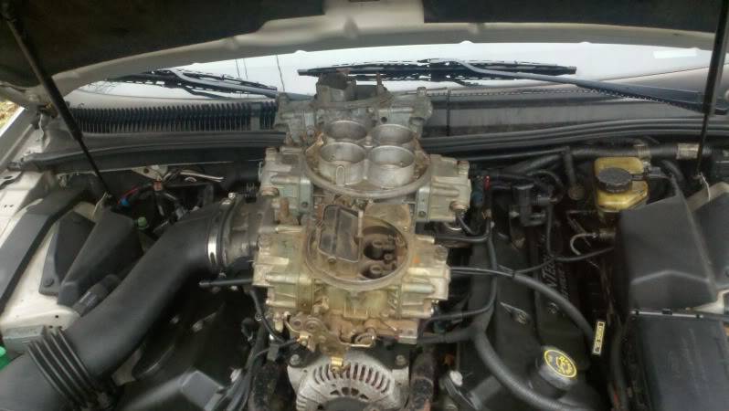 2011-04-07_11-03-30_416.jpg