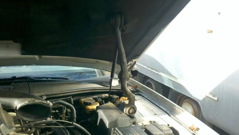 2011-11-26_10-37-13_529.jpg