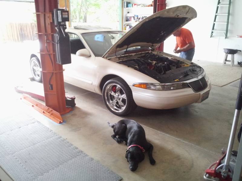 2012-06-14165347.jpg