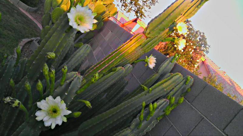 2012-09-25_06-38-00_HDR.jpg