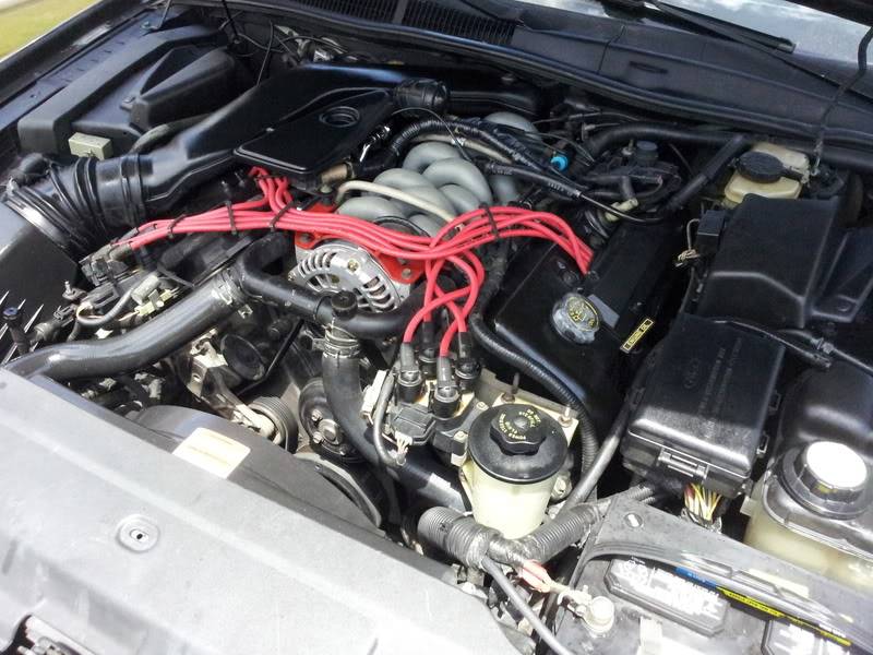 20120415_143241.jpg