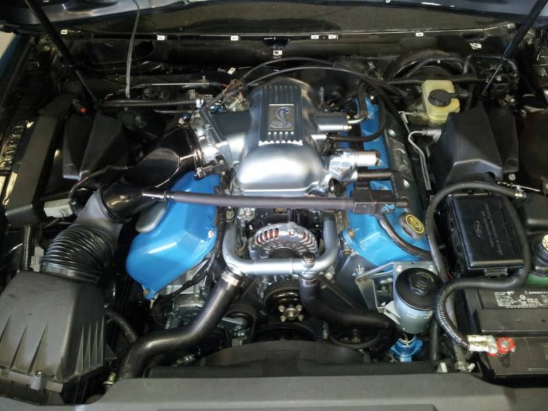 20121114_103155.jpg